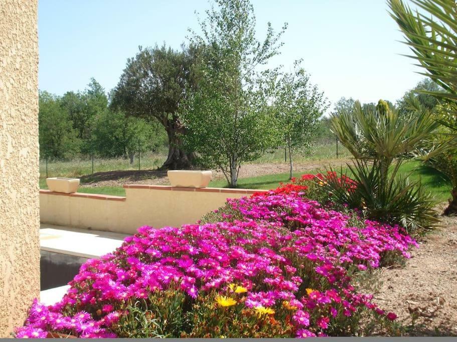 Gite Le Chalet Des Milles Et Un Chemins Castelnou Exterior photo